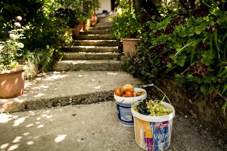 two buckets filled with homegrown grapes and tomatoes in front of stairs in lush green home garden
