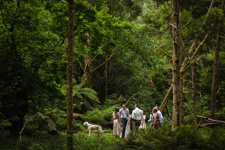 wedding party and dog standing talking in outdoor bush forest setting