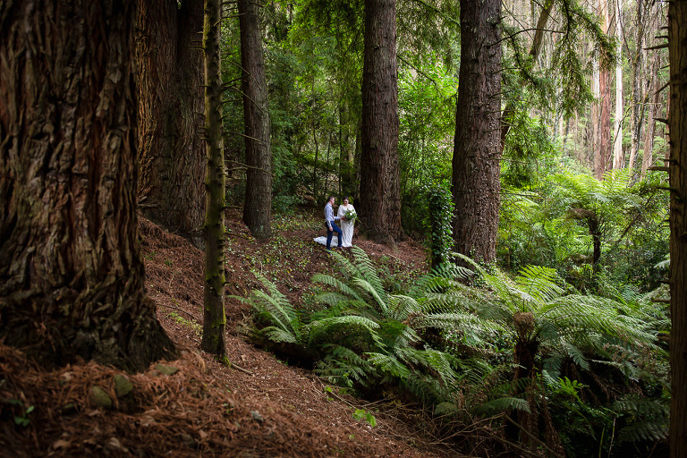 bride and groom standing beneath large redwood trees and ferns
