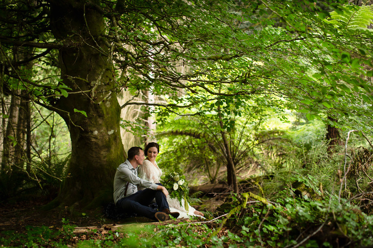 bride and groom sitting beneath large dramatic beech tree in forest