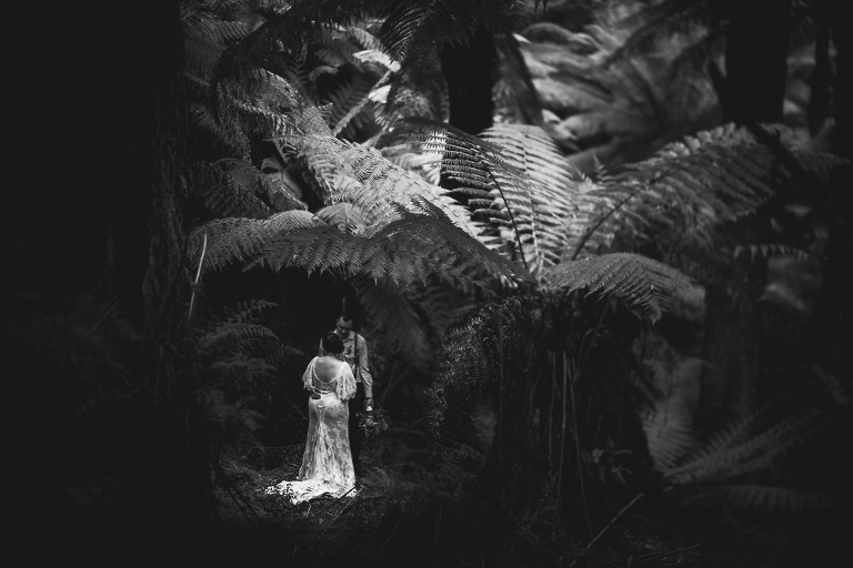 bride and groom hugging beneath dramatic backdrop of ferns in black and white