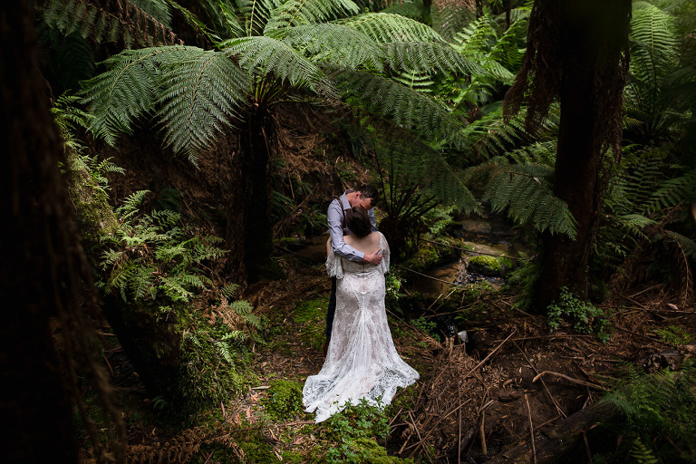bride and groom seen from above kissing beside a creek in ferns